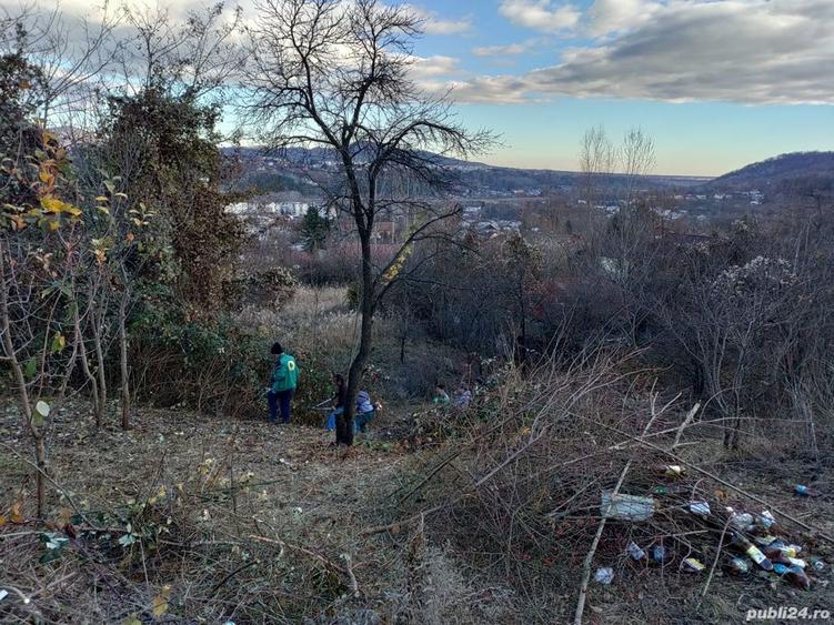 Teren de 4200 mp, în Poiana