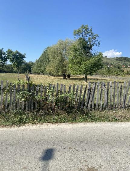 Teren intravilan Baia de fier - 1