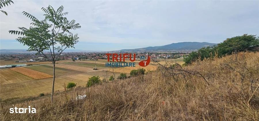Teren Extravilan De Vanzare Cu Panorama In Barabant ! - 2