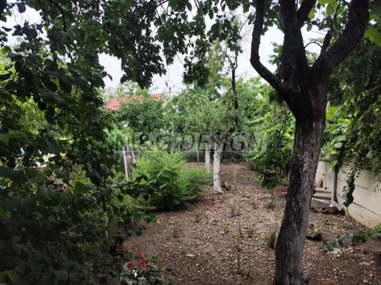 Casă cu Teren 1033 Mp în Bogdăneștilor