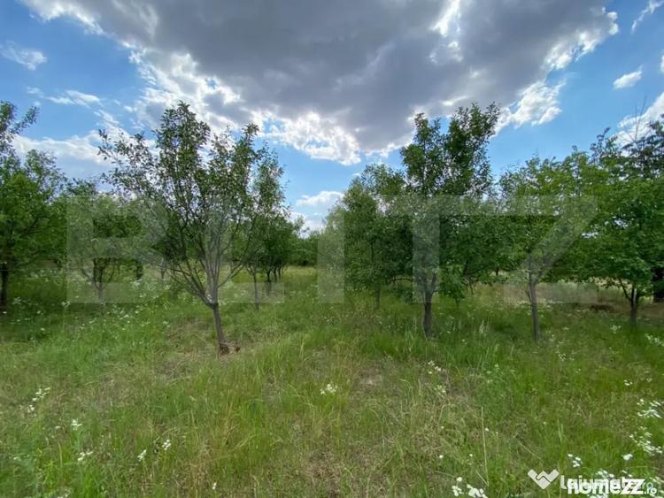 Casă cu 4 camere cu Teren 1275 Mp în Seceani