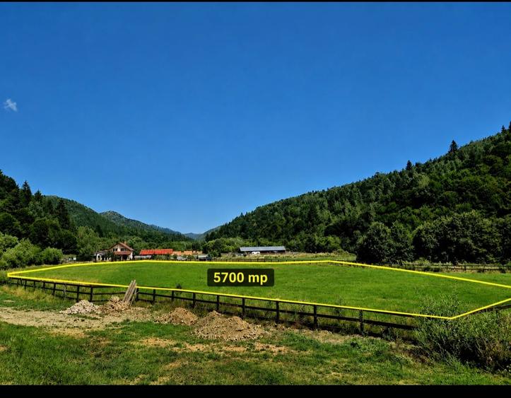 Teren Construcții intravilan de 5700 mp, în Plaiul Foii