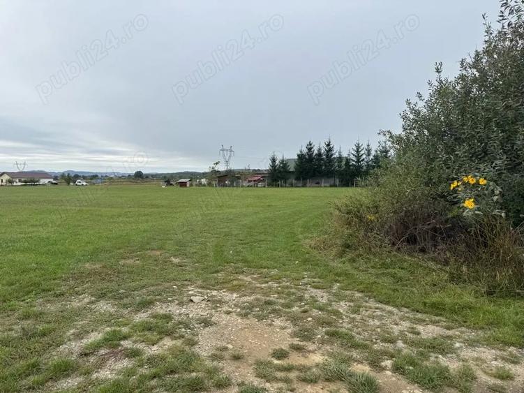 Teren 7630 mp langa Baia Mare Sacalaseni ideal investi?ie parcelare dezvoltare - 4