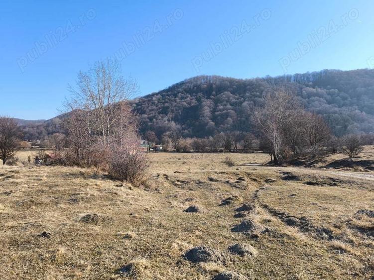 Teren de 6100 mp, în Glăjărie