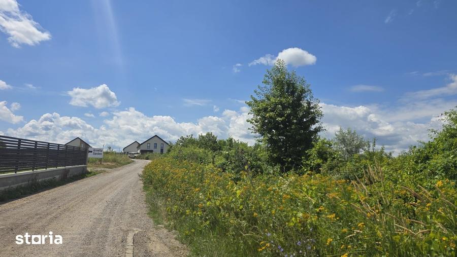 Teren Intravilan 6.383 mp Barnova, Ia?i Oportunitate Excelenta - 2