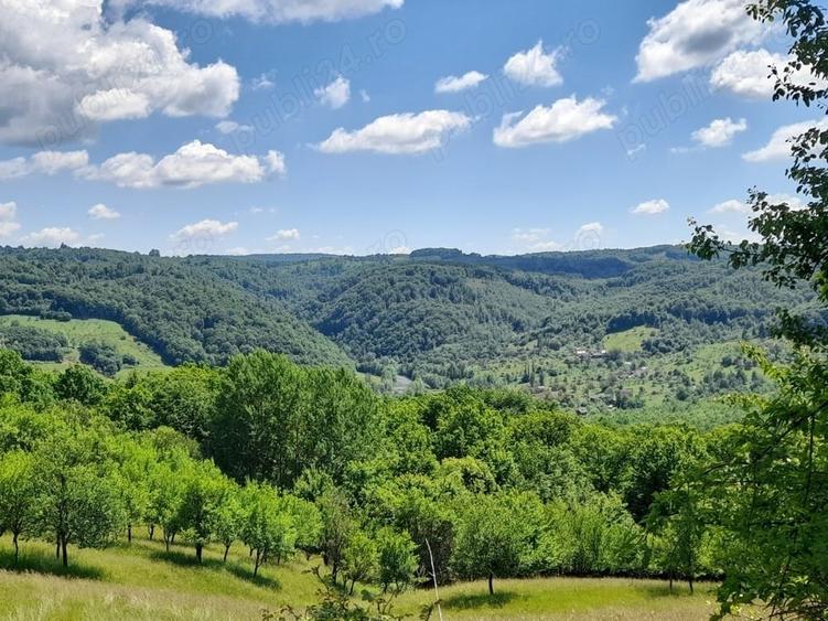Teren de 4000 mp, în Berchez