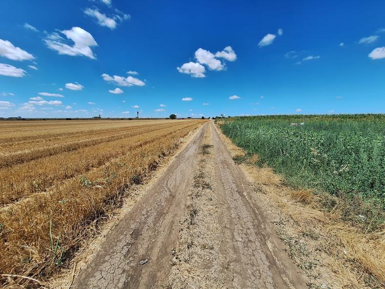 Teren Construcții intravilan de 5000 mp, în Lazu