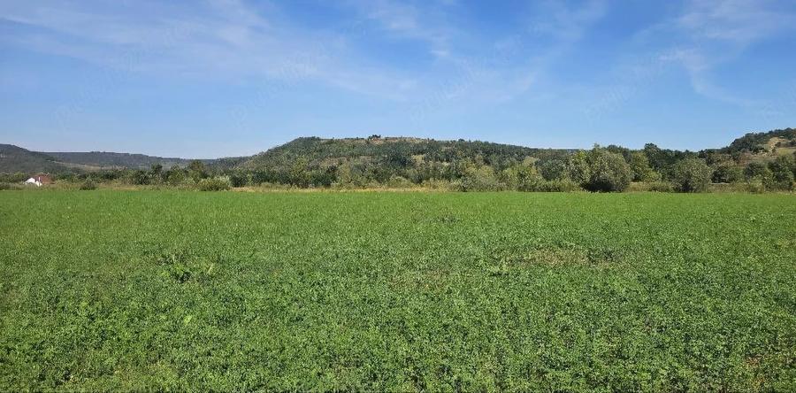 Teren de 3500 mp, în Porumbacu de Jos