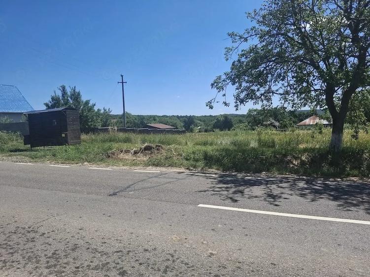 Teren de 1200 mp, în Ionășeni (Vârfu Câmpului)