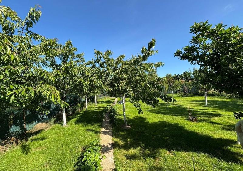 Casă cu 4 camere în Lupăria