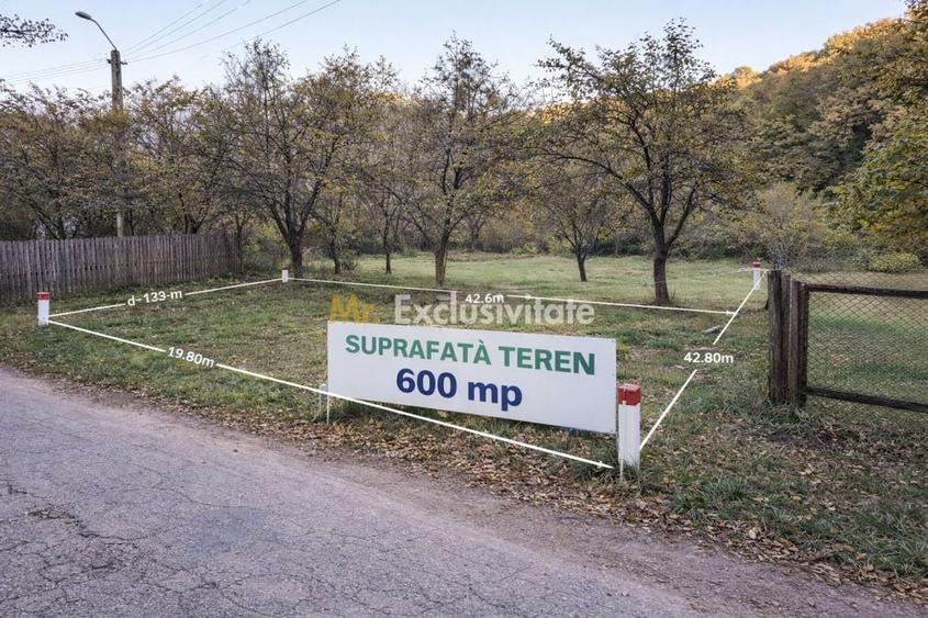 Teren Construcții intravilan de 600 mp, în Lăbușești