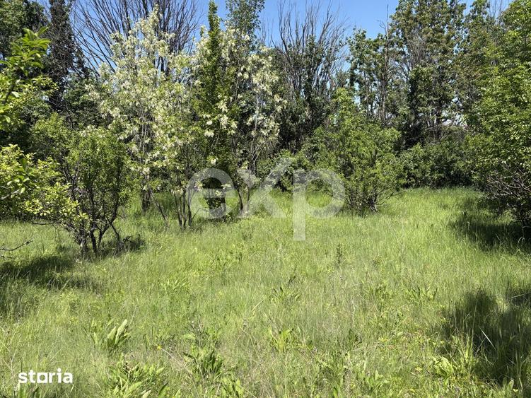 Teren 2.200 mp | 11 km de Pitesti | Vanzare integral sau parcela de 50 - 1