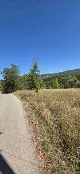 Teren Construcții intravilan de 6459 mp, în Luncoiu de Jos