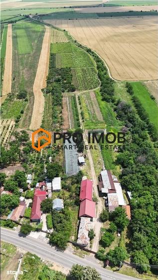 Teren de 29400 mp, în Vernești