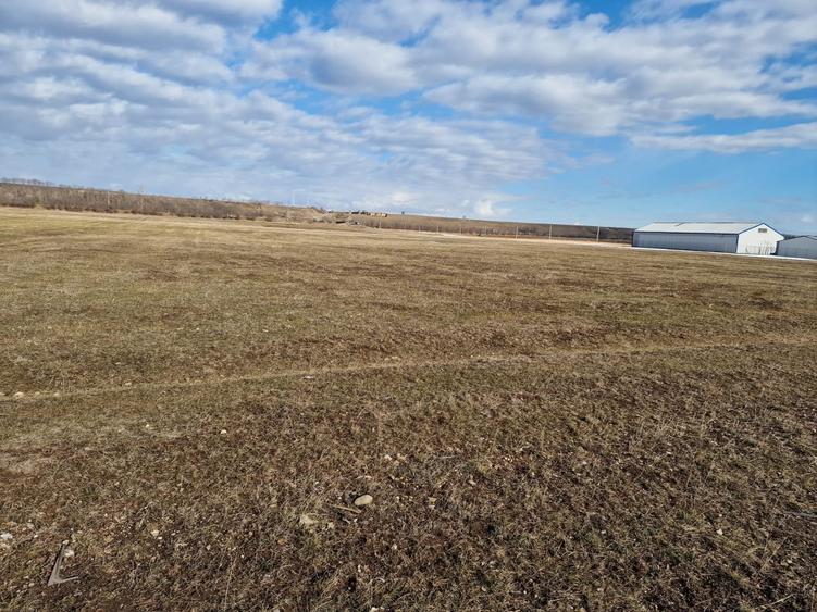 Teren agricol extravilan de 10000 mp, în Est