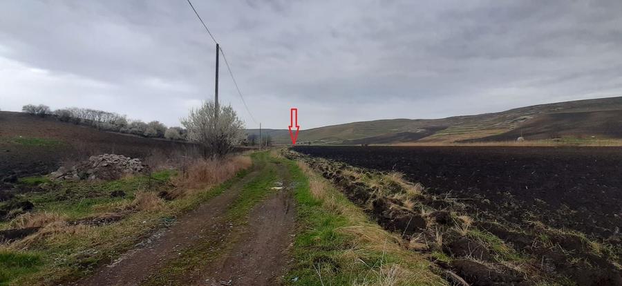 Teren agricol extravilan de 119500 mp, în Iris