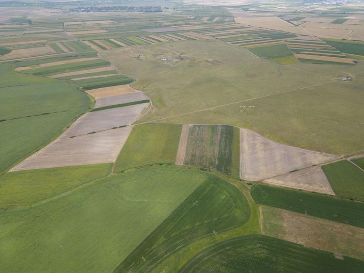 Teren de 400000 mp, în Zărand