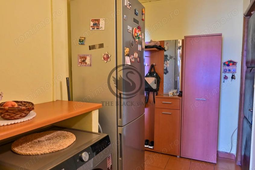 Apartament cu 3 camere semidecomandat, mobilat în Malu Roșu