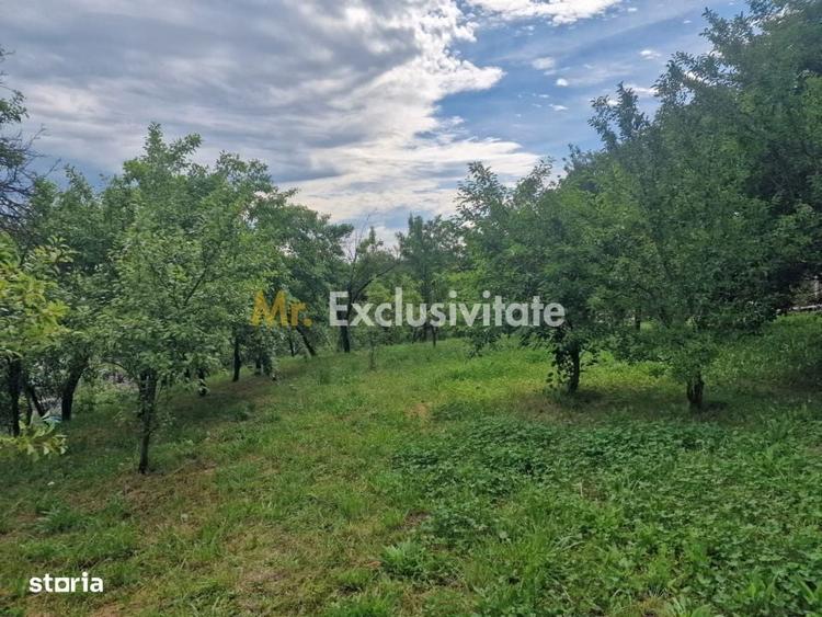 Teren intravilan 1400 mp - Albota ! - 4