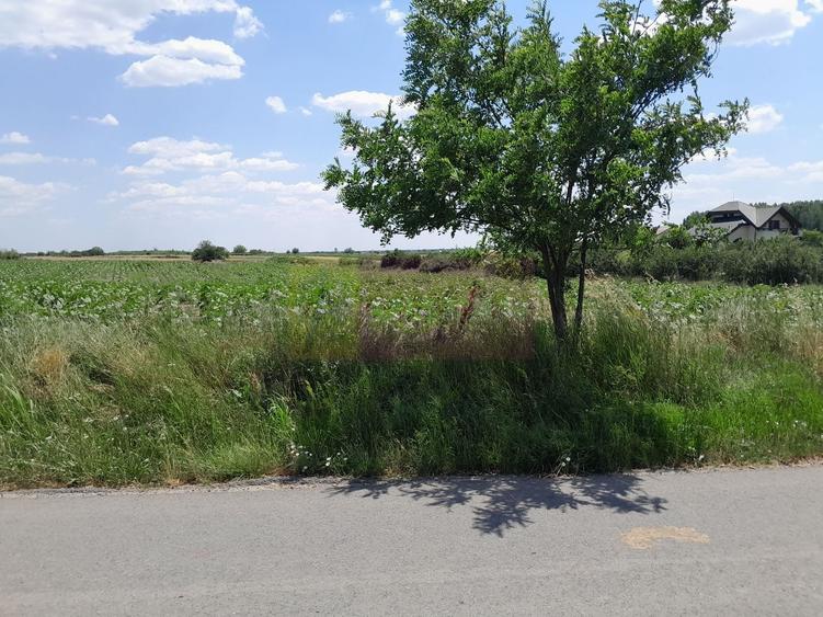 Teren Construcții intravilan de 16500 mp, în Teișori