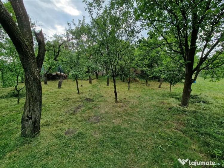 Teren intravilan in sat Feiurdeni, suprafa?a 1573mp - 4