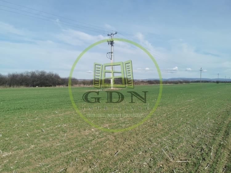 Teren agricol extravilan de 21496 mp, în Săcădat