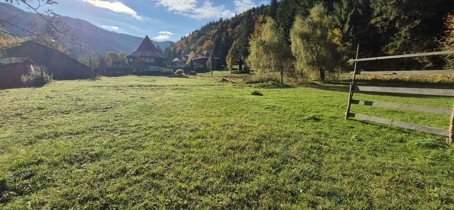 Teren de 4096 mp, în Tarcău