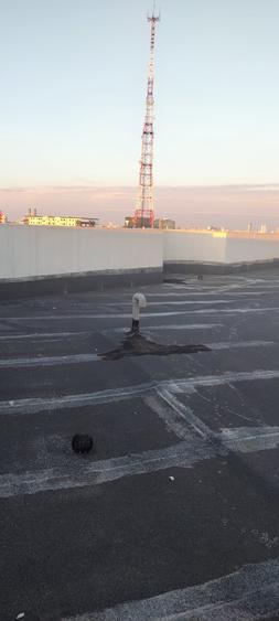Proprietate specială, de 600 mp, în Virtuții