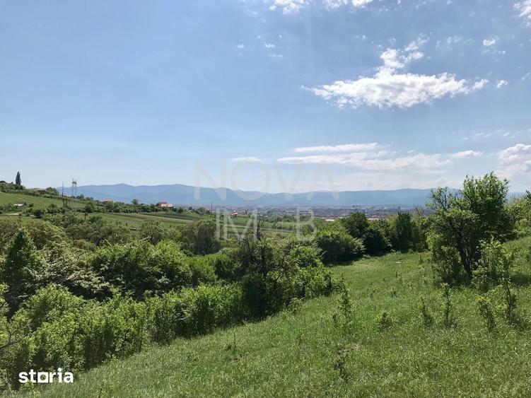 Teren de 8000 mp, în Gușterița