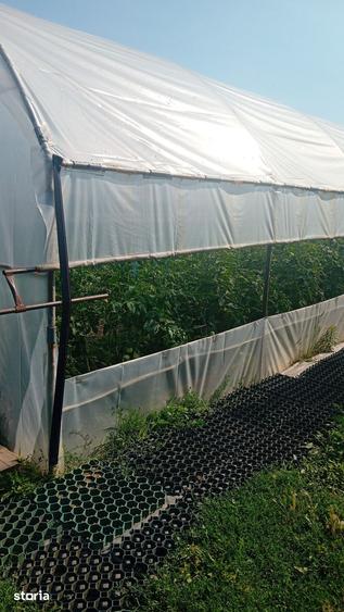 Casă cu 3 camere cu Teren 750 Mp în Petrăchioaia