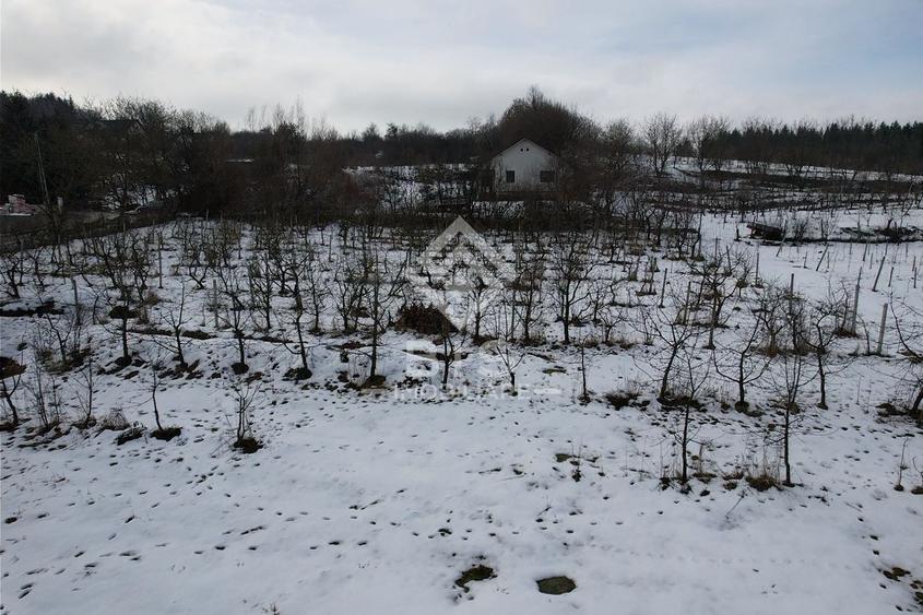 Teren Construcții intravilan de 3000 mp, în Nord-Vest