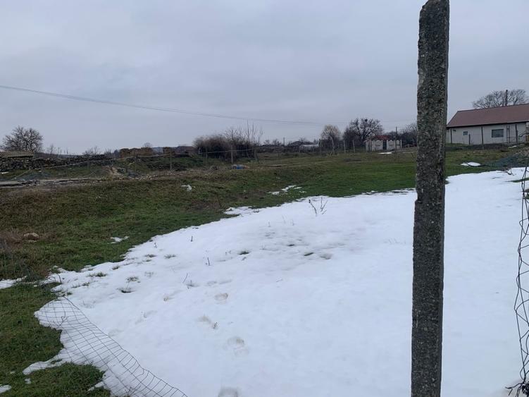 Teren Construcții intravilan de 850 mp, în Crucea