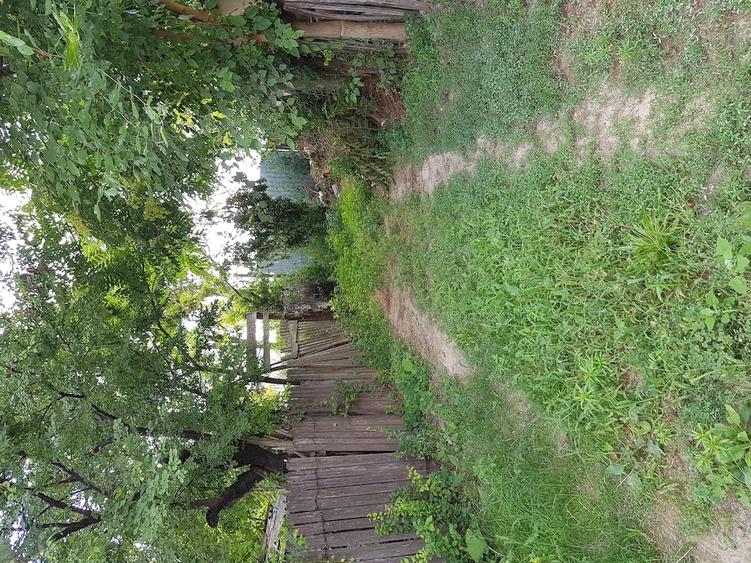 Teren de 790 mp, în Borcea