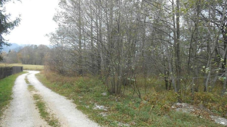 Teren de 2740 mp, în Bran