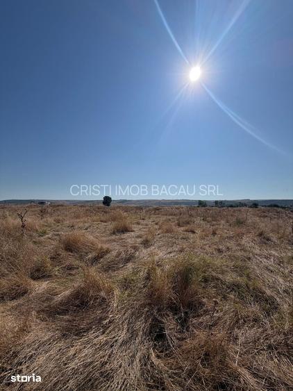 Teren De vanzare In Barlad strada Capitan Grigore Ignat nr 47