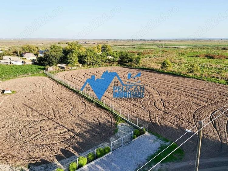 Teren de 6000 mp, în Sarinasuf