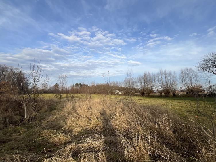 Teren Construcții intravilan de 7244 mp, în Hurjuieni