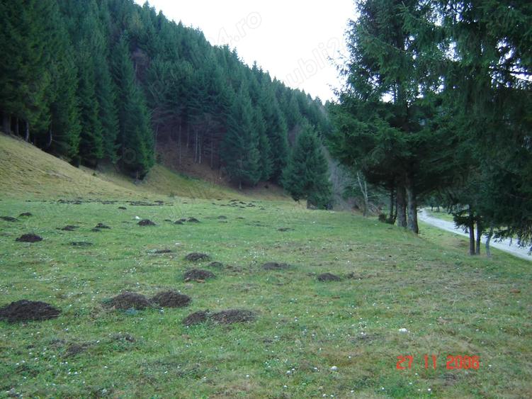 Teren în Plaiul Foii