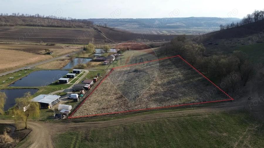 Teren de 7000 mp, în Hoghilag