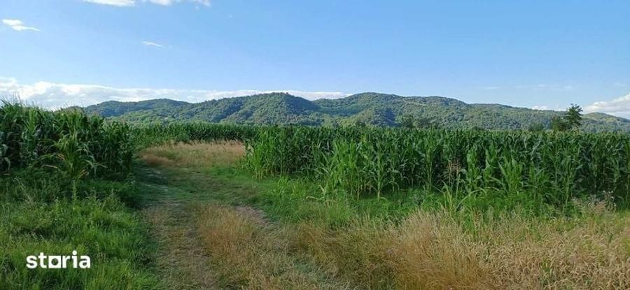 Teren de 1000 mp, în Copăcelu