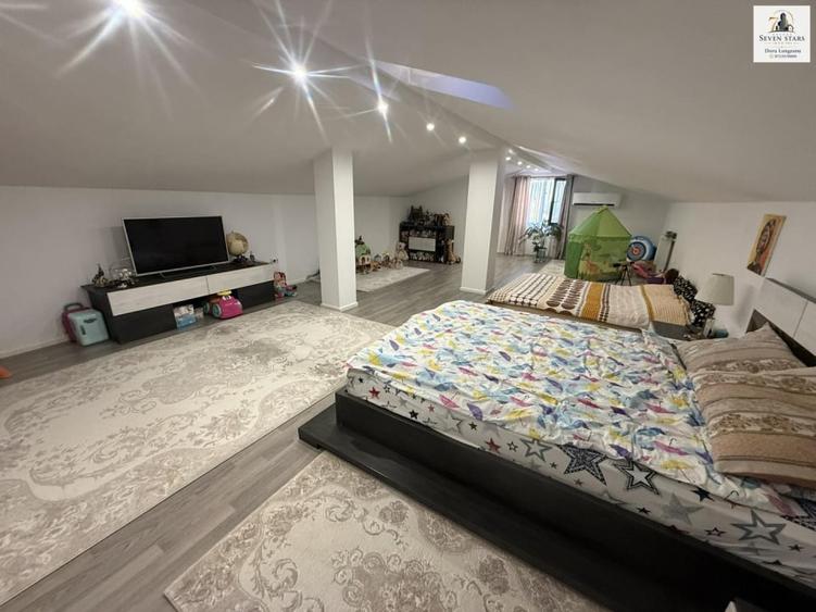 Penthouse cu 10 camere, mobilat în Central