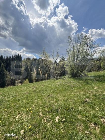 Teren de 8450 mp, în Central