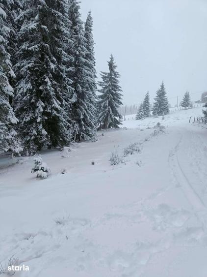 Teren de 1000 mp, în Mărișel