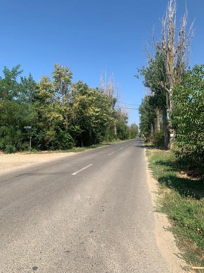 Teren Construcții intravilan de 4250 mp, în Snagov