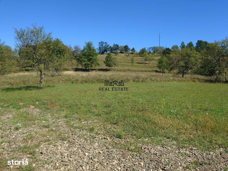 Teren de 8757 mp, în Luncoiu de Jos