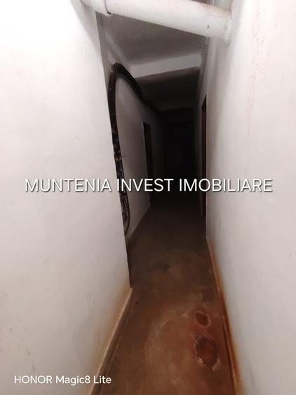 Proprietate specială, de 10.619999885559 mp, în Teilor