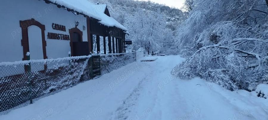 Casă cu 3 camere în Vadu Crișului
