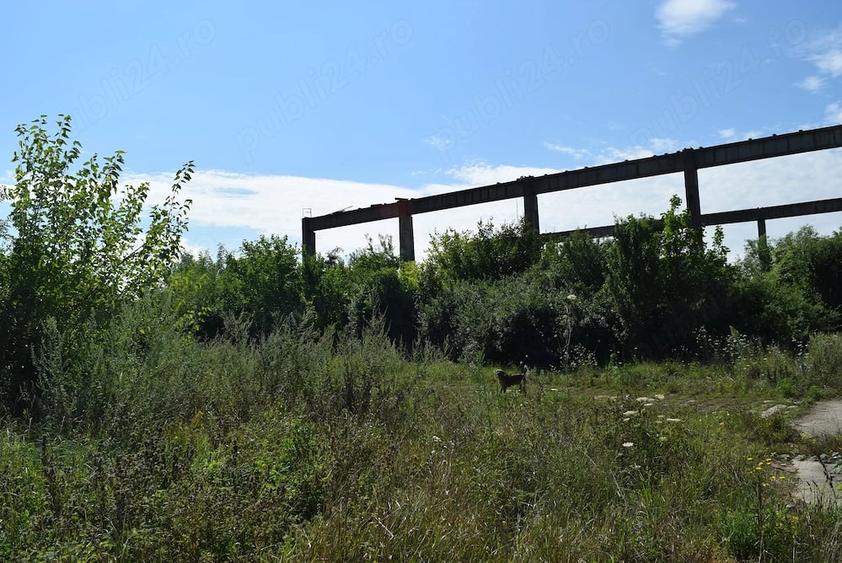 Teren de 50500 mp, în Central