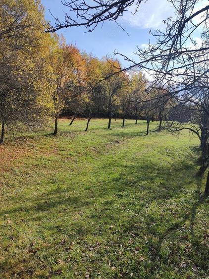 Teren de 10200 mp, în Costești