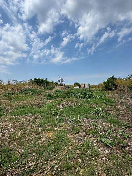 Teren de 1270 mp, în Tămădău Mare